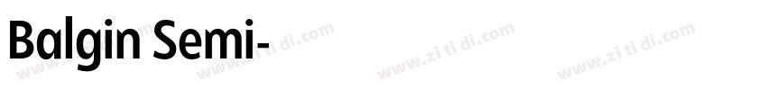 Balgin Semi字体转换 Balgin Semi字体转换